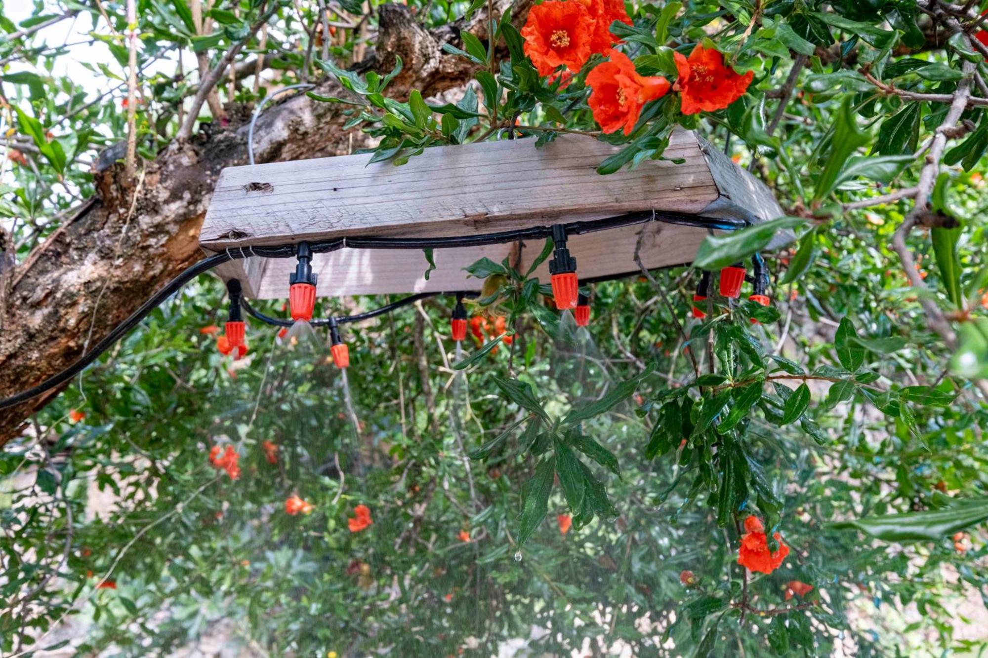 Вилла Casa Acollidora I Familiar Amb Jardi I Barbacoa Ажер Экстерьер фото